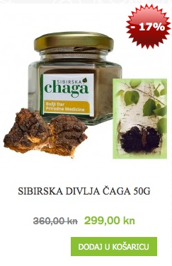 čaga